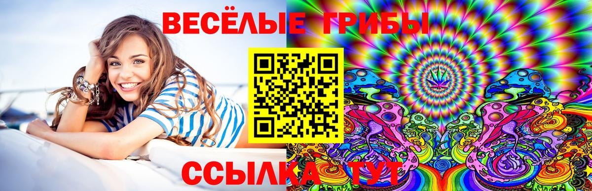 Слободской  Галлюциногенные грибы прущие грибы  Вход с VPN 